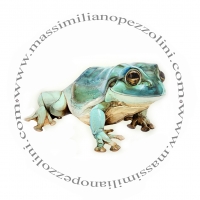 Massimiliano Pezzolini - Illustration of digital, Photoillustration, Realism,Education,Graphic,Architectural,Pachaging,Liftyle,Comics boock, Children\'s Production, Editorial, Covers, Cartoon, Animation 2D 3D, Line white color, Greetings Cards